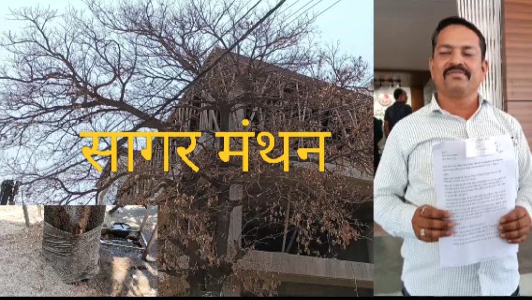 गांधी भवन के सामने हरे-भरे पेड़ को रसायन डालकर सुखाने का आरोप,वृक्ष हत्या का प्रकरण दर्ज करने की मांग,हुई कलेक्टर से शिकायत