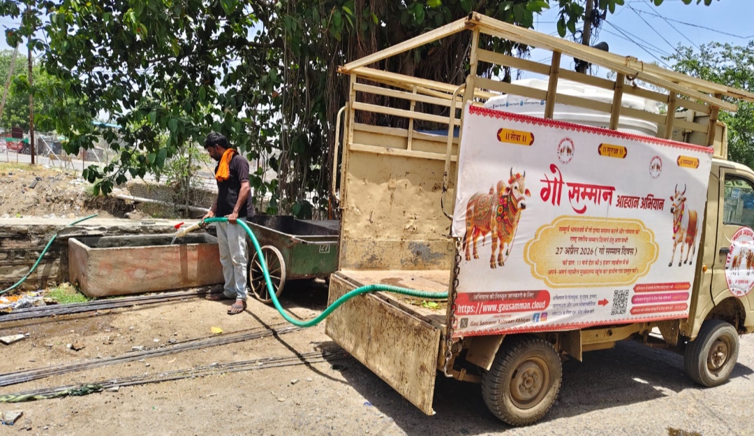 भीषण गर्मी में बेजुबानों का सहारा बनी गौ सेवा समिति: प्रतिदिन 4 हजार लीटर पानी से बुझा रही प्यास,समाज से सहयोग की अपील