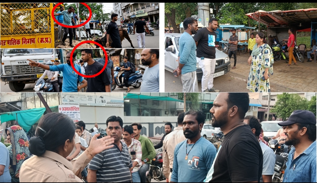 गाय छुड़ाने पिंजरे पर चढ़ा मालिक,नगर पालिका टीम से विवाद:शासकीय कार्य में बाधा का केस दर्ज कराने के निर्देश