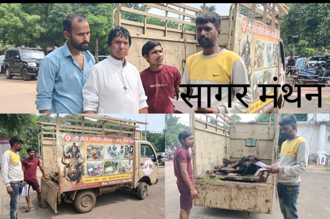 बीमार गोवंश को लावारिस छोड़ने का आरोप,गो मालिकों के खिलाफ गिरफ्तारी व प्रकरण दर्ज कने  की मांग