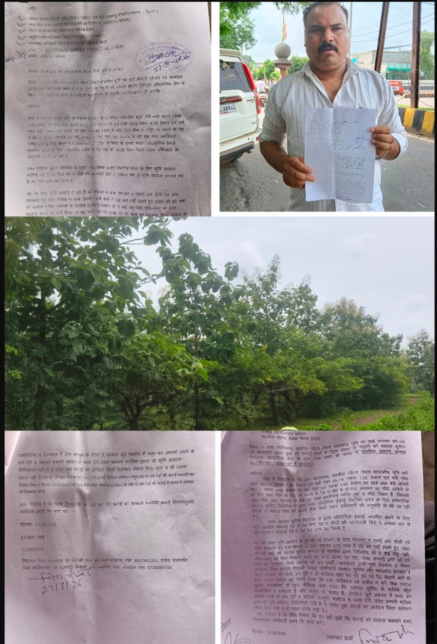 इंडस्ट्री के नाम पर 2 हजार से अधिक हरे वृक्षों की बलि चढ़ाने की तैयारी,सोनियाना की सरकारी जमीन पर स्वराज शूटिंग लिमिटेड की प्रस्तावित औद्योगिक इकाई को लेकर शिकायत,पेड़ कटाई  रोकने की मांग की