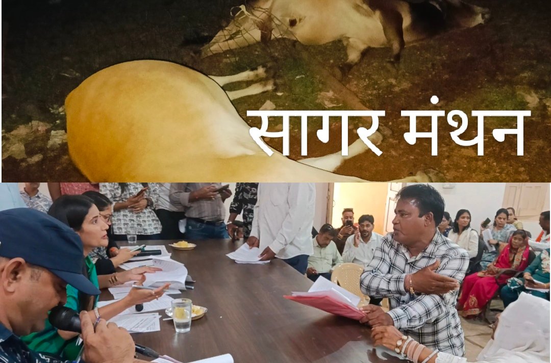तार फेंसिंग में दौड़ा करंट, दो नंदी की दर्दनाक मौत ग्वालटोली में हादसे से मचा हड़कंप,नगरपालिका विशेष सम्मेलन में गूंजा मामला; पार्षद ने सुरक्षा इंतजाम और कार्रवाई को लेकर की मांग 