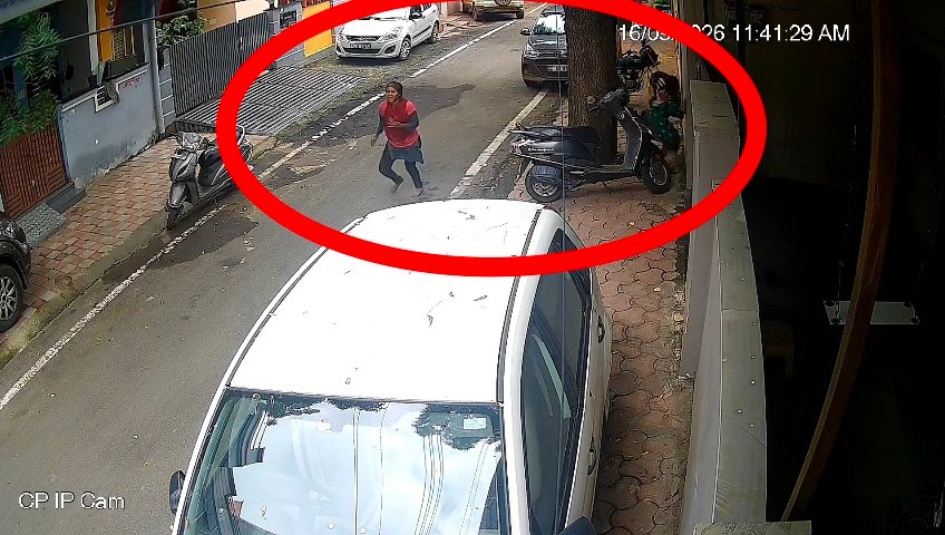 पेड़ के सहारे छत से नीचे उतरीं दो युवतियां,वरिष्ठ अभिभाषक के मकान में दिनदहाड़े चोरी की कोशिश; सीसीटीवी में कैद हुईं संदिग्ध