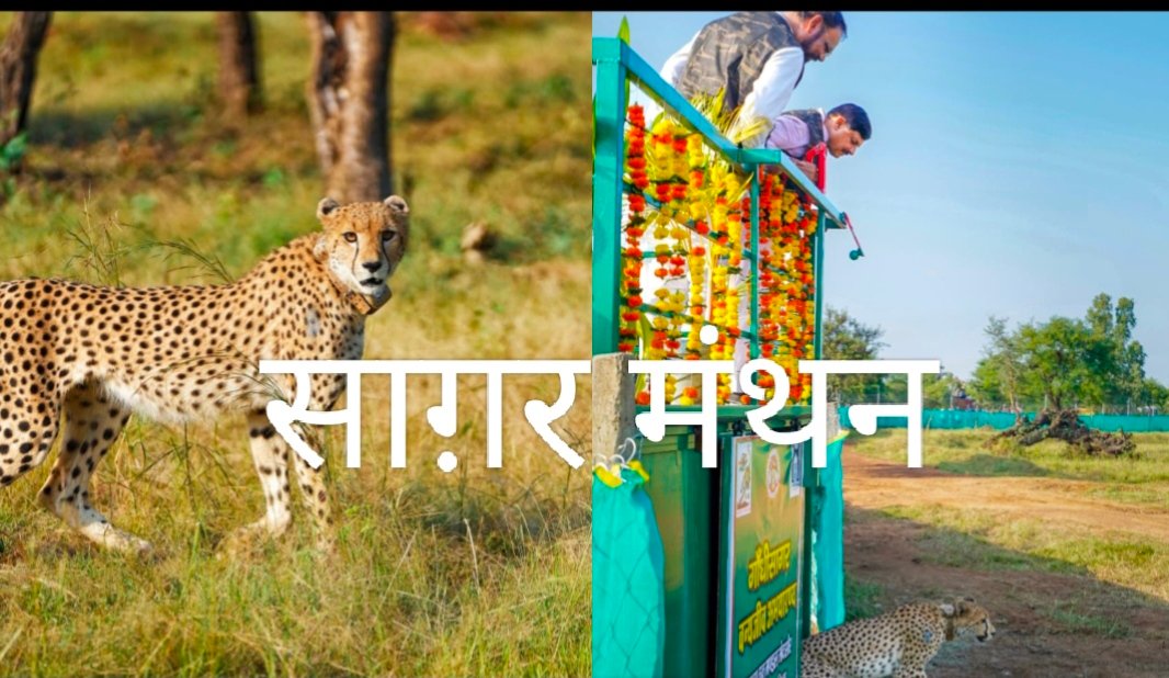 नीमच को मुख्यमंत्री की बड़ी सौगात:जल्द बनेगा एयरपोर्ट,सर्वसुविधायुक्त स्टेडियम भी होगा तैयार,ढाई साल में 3.50 लाख से अधिक सरकारी भर्तियों का दावा; राहुल गांधी के ‘छात्रों की गूंज’ कार्यक्रम पर बोले सीएम- पहले जुटाए तथ्य*